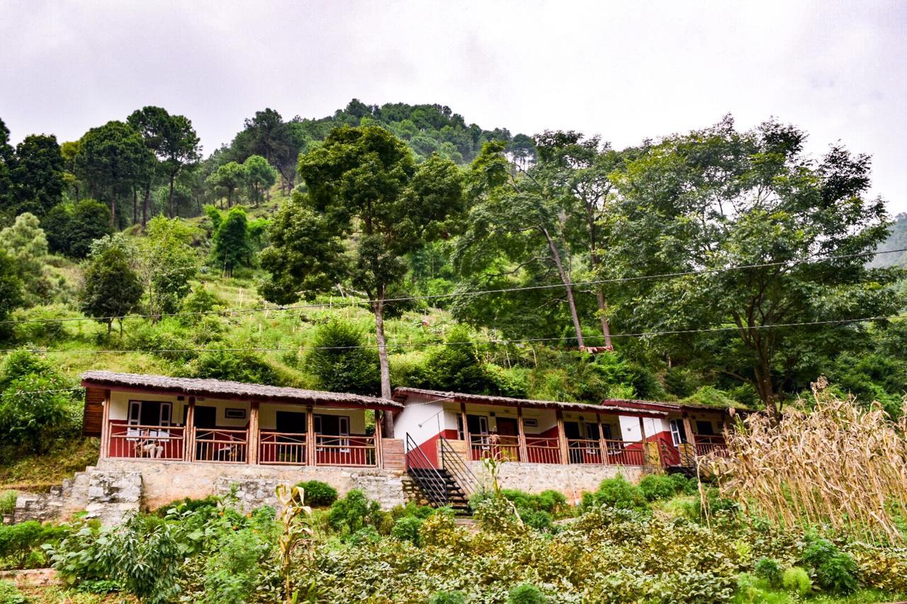 Solid Rock - Lodge & Restaurant Pharping Bagian luar foto